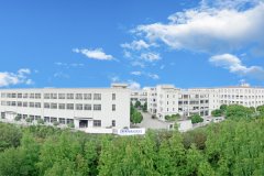 攜手同心、行而不輟，奔赴美好的2024
